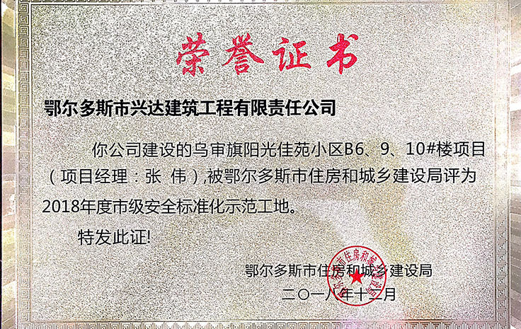 262b110dff822ece27c797b7ae1cc141 市级安全尺度化示范工地